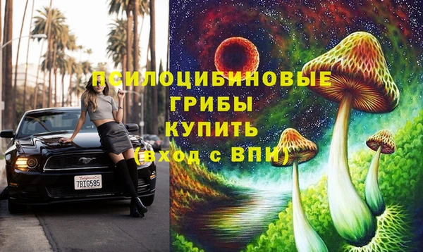 сатива Алексеевка