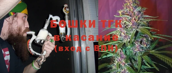 тгк Абаза