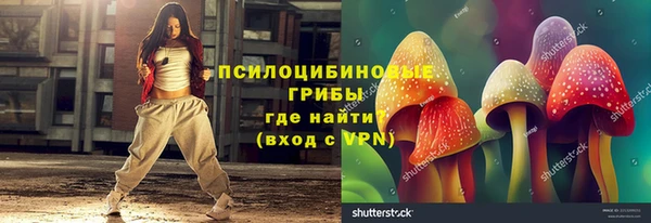 тгк Абаза