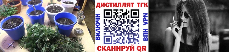 ТГК THC oil  Магадан 