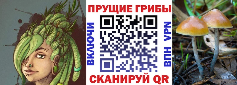 Галлюциногенные грибы мухоморы  Магадан 